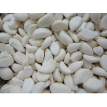 Ajo pelado chino blanco puro del nuevo cultivo (180-220grains / kg)